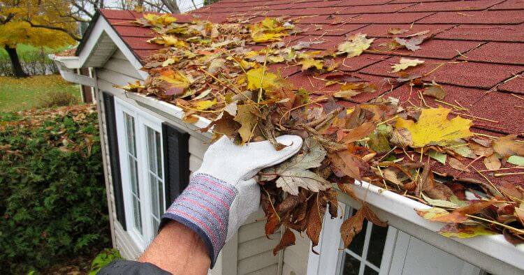 Cleaning Gutter Leaves